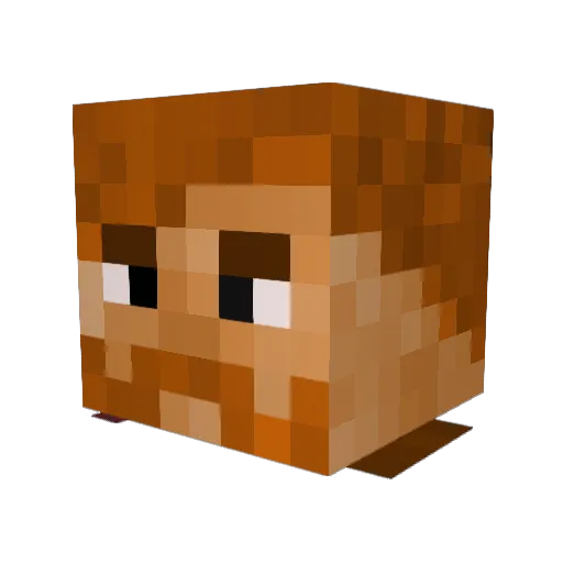 Gnome210 Minecraft avatar head, 3D render