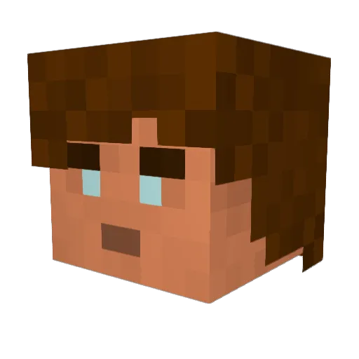 Gnomling96 Minecraft avatar head, 3D render