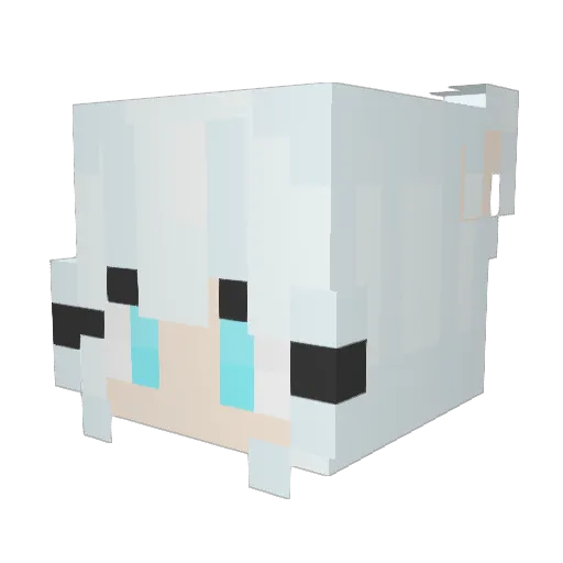Gnomo_002 Minecraft avatar head, 3D render
