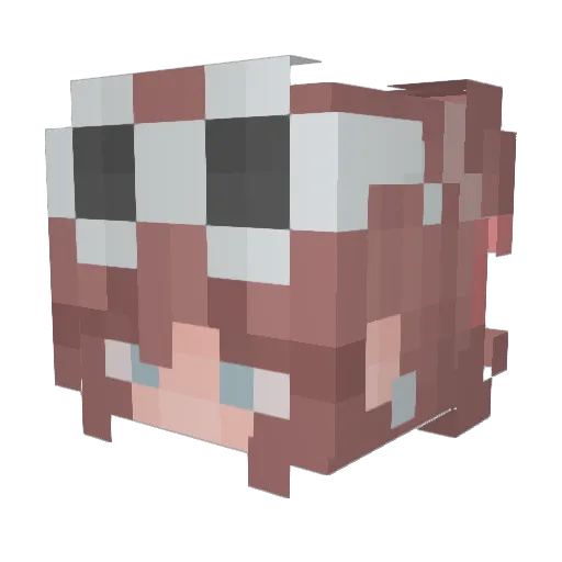 Gnomska Minecraft avatar head, 3D render