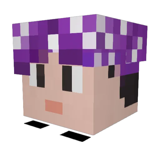 Gnort13 Minecraft avatar head, 3D render