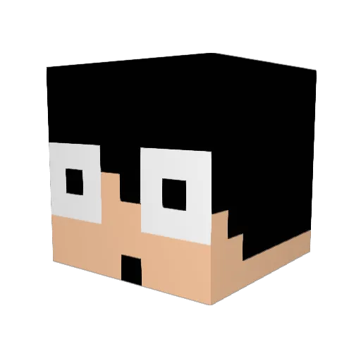 Go0s Minecraft avatar head, 3D render