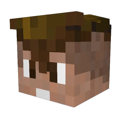 GoDogs893 Minecraft avatar head, 3D render