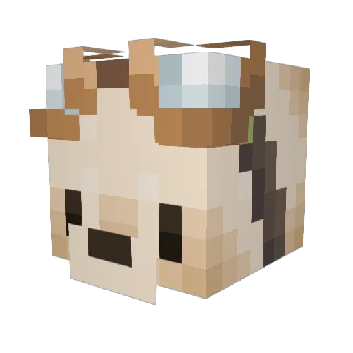 GoEatBroccoli Minecraft avatar head, 3D render