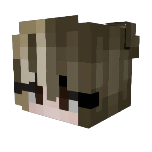 GoFlyCheeseDog Minecraft avatar head, 3D render