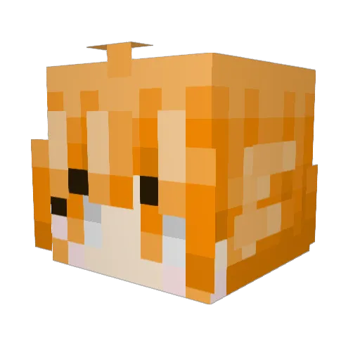 GoGsiso Minecraft avatar head, 3D render
