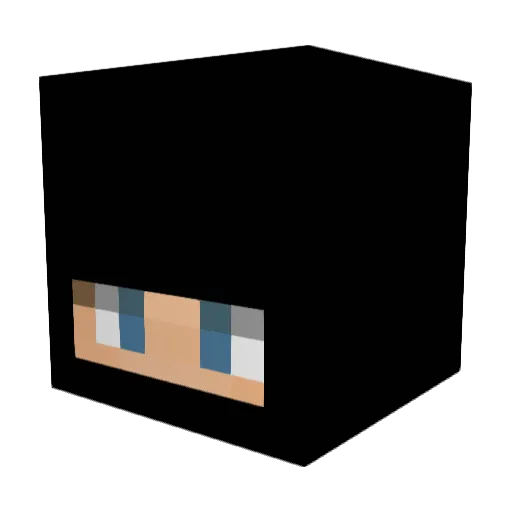 GoOutside512 Minecraft avatar head, 3D render