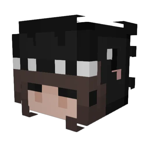 GoRogue3 Minecraft avatar head, 3D render