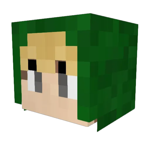 GoSlows3 Minecraft avatar head, 3D render