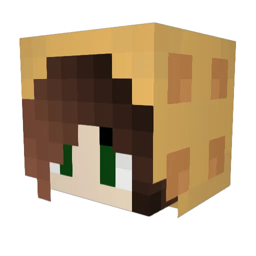 GoSquidGo Minecraft avatar head, 3D render