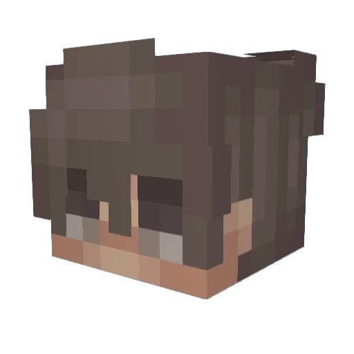 GoTouchGrassBudd Minecraft avatar head, 3D render