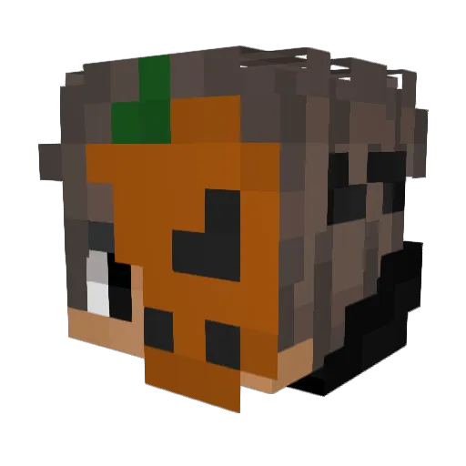 Go_Easy_on_me123 Minecraft avatar head, 3D render