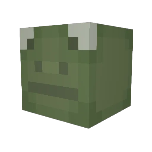 Gobbins Minecraft avatar head, 3D render