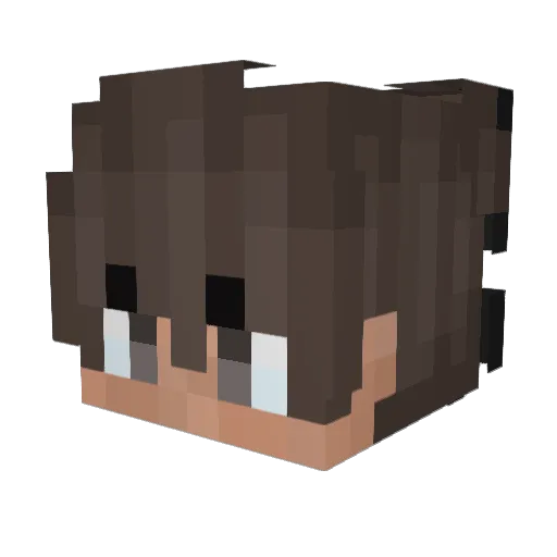 Goberinho Minecraft avatar head, 3D render