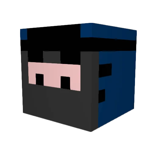 GobiDobi Minecraft avatar head, 3D render