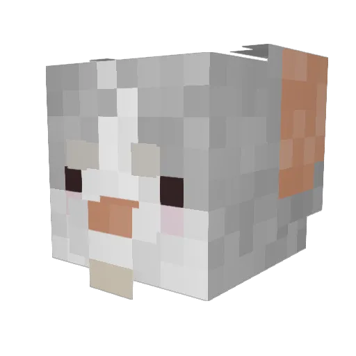 Goblin_Boy69 Minecraft avatar head, 3D render