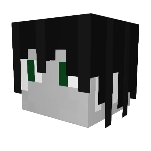 Gobofish Minecraft avatar head, 3D render