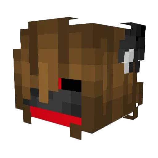Goby_fish Minecraft avatar head, 3D render