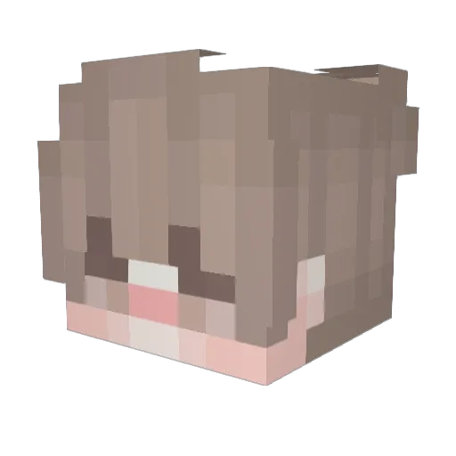 GodBernhardsen Minecraft avatar head, 3D render