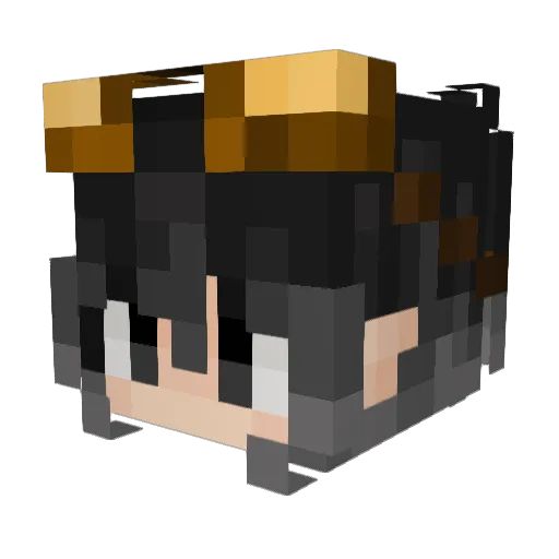 Minecraft-Avatar von GodOfCarrot: Kopf als 3D-Render