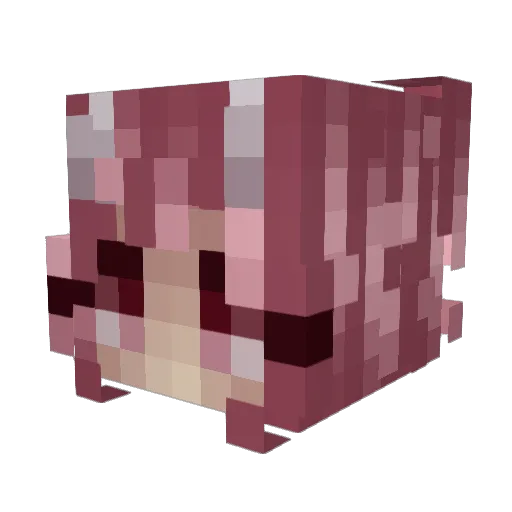 GodOfChaos1 Minecraft avatar head, 3D render