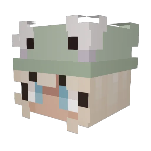 GodStang Minecraft avatar head, 3D render