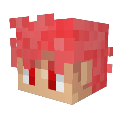 God_Dodo Minecraft avatar head, 3D render