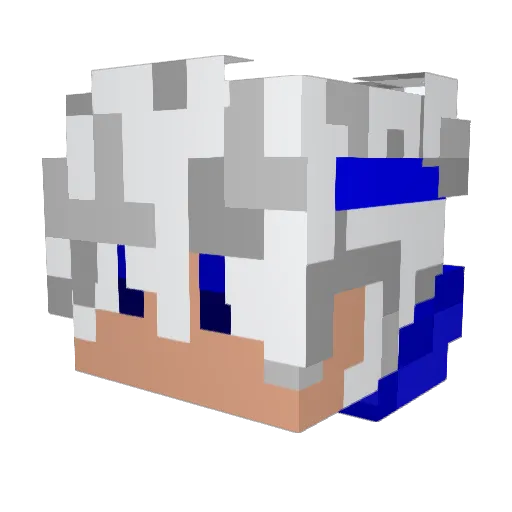 God_Duzin Minecraft avatar head, 3D render