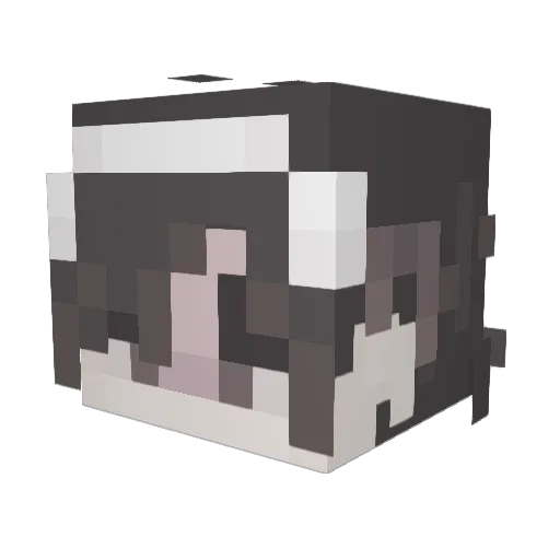 God_Grid Minecraft avatar head, 3D render