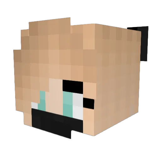 God_Of_Cookies Minecraft avatar head, 3D render