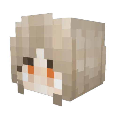 God_Solitary Minecraft avatar head, 3D render