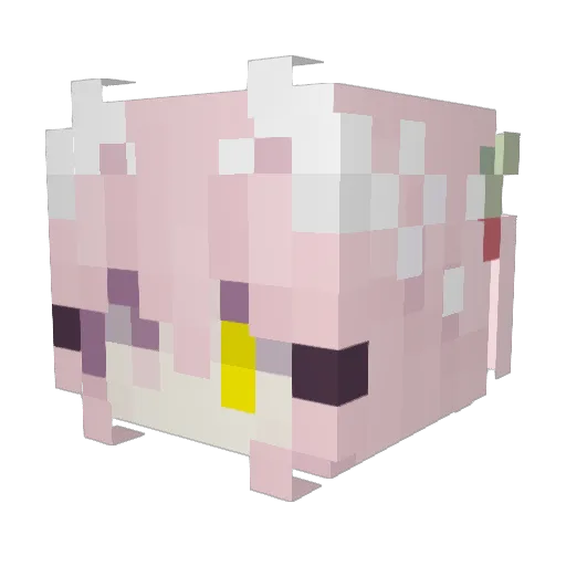 God_doge_ Minecraft avatar head, 3D render