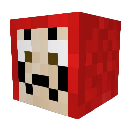 God_of_Pigs Minecraft avatar head, 3D render