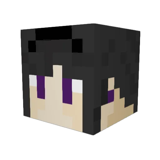 Goddeznuts Minecraft avatar head, 3D render