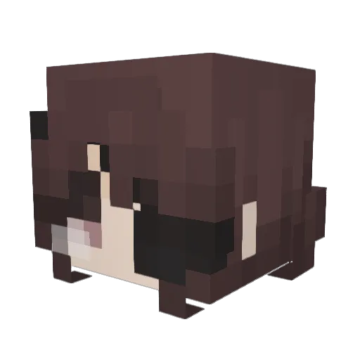 Godhunter0115 Minecraft avatar head, 3D render