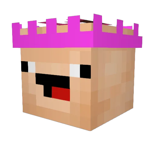 Godisgris Minecraft avatar head, 3D render