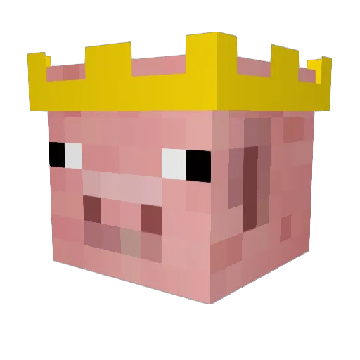 GodlyPlayer5 Minecraft avatar head, 3D render