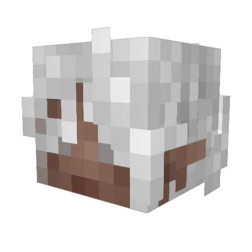 GodlyTarnished Minecraft avatar head, 3D render