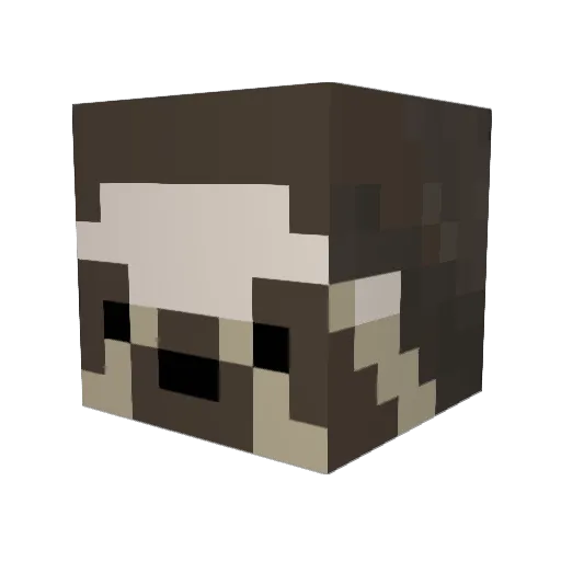GodlyTim Minecraft avatar head, 3D render