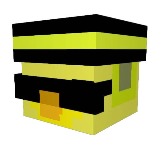 GodlyTurtle23 Minecraft avatar head, 3D render