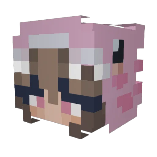GodnessOrsi Minecraft avatar head, 3D render