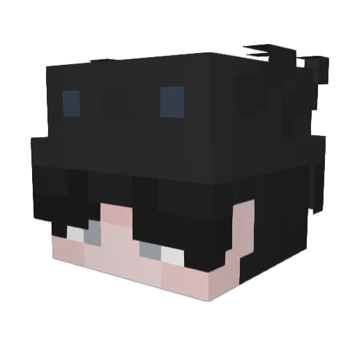 GodofMinecraft17 Minecraft avatar head, 3D render
