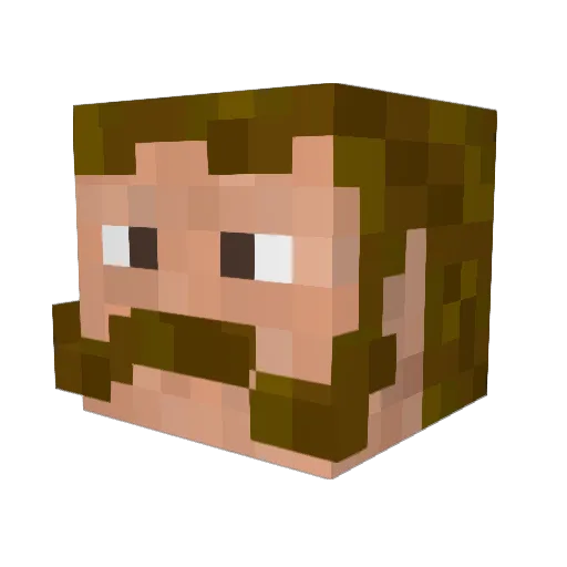 Godofcalamity14 Minecraft avatar head, 3D render