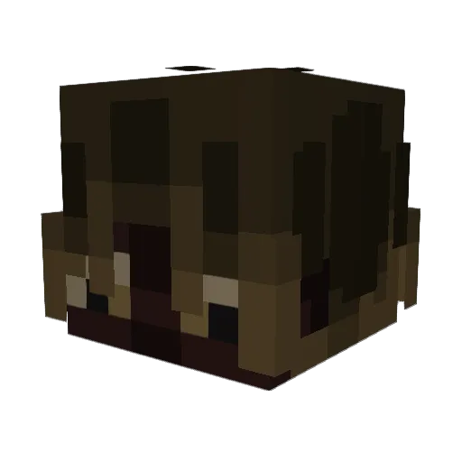 GodofredoLaChupa Minecraft avatar head, 3D render