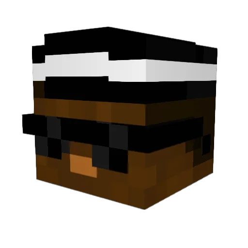 Godorelien Minecraft avatar head, 3D render