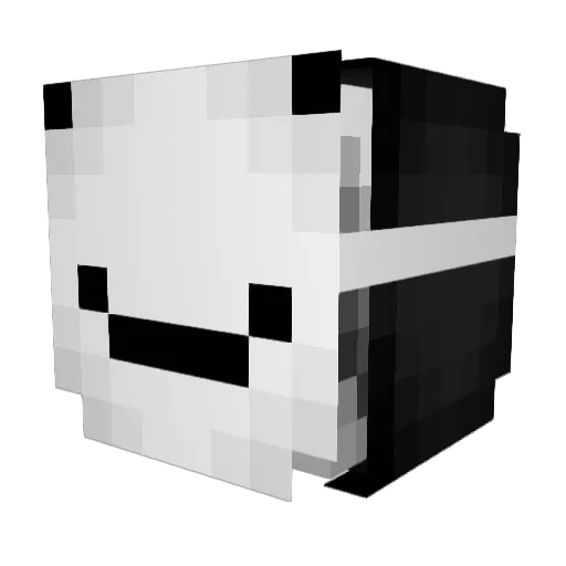 GodsGalaxy Minecraft avatar head, 3D render