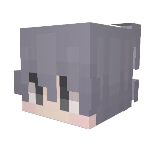 Godsons Minecraft avatar head, 3D render