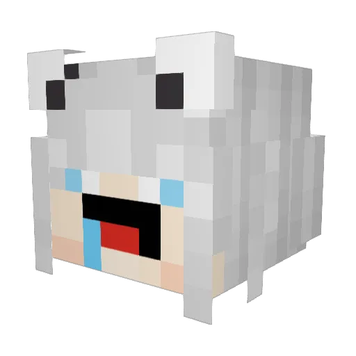 Gofy9 Minecraft avatar head, 3D render