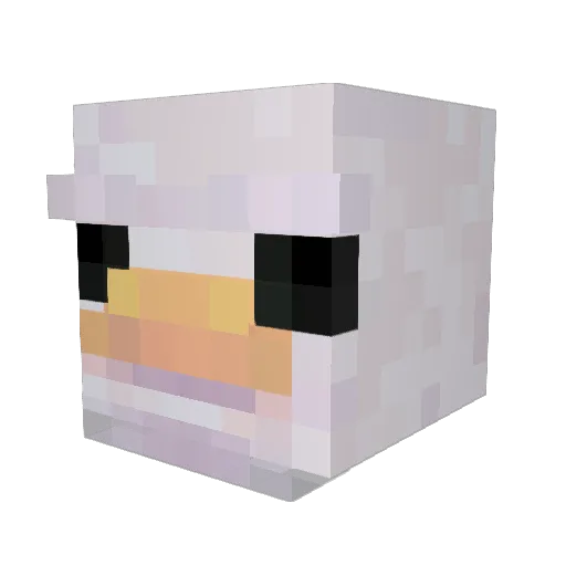 Gogowski Minecraft avatar head, 3D render