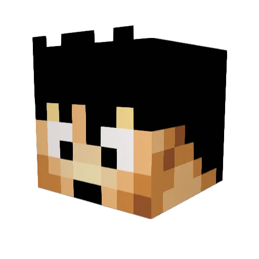 Goho2014 Minecraft avatar head, 3D render